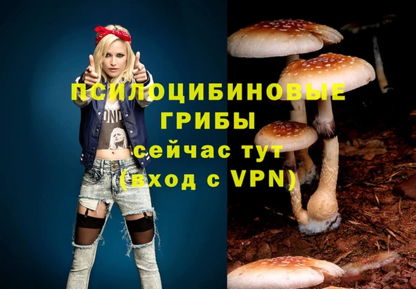 эйфоретик Армянск