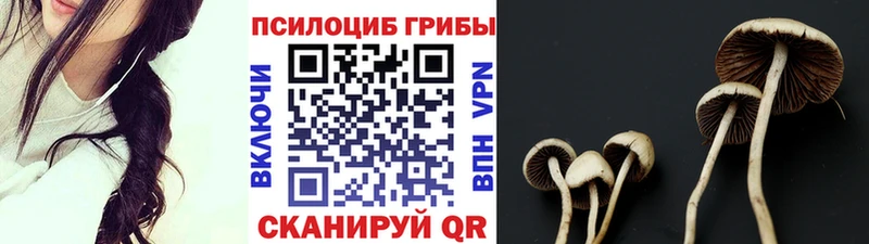 ОМГ ОМГ онион закладка Любим Галлюциногенные грибы Magic Shrooms
